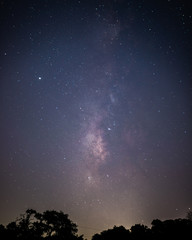 Perseid Meteor Shower in Austin