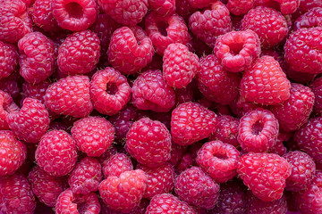 food background - a lot of ripe raspberries close up