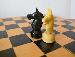 white and black chess knights