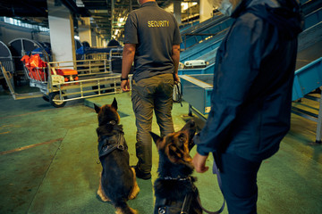 Detection dogs on duty with security guards at airport
