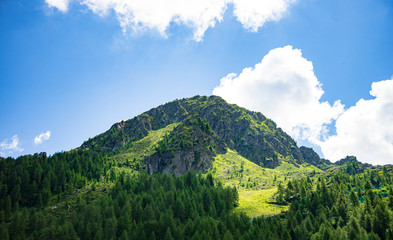 Obraz premium aprica- Palabione