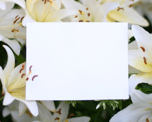 Mock up with lilac flowers on green background. Photo with copy space. Nice background with flowers and empty space for text.