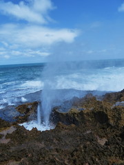 Wild coast line near Carnarvon