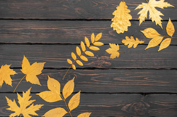 Golden leaves on dark wooden background top view copy space. Fall concept. Autumn background. Minimal concept idea, floral design. Creative autumn composition. Vintage style