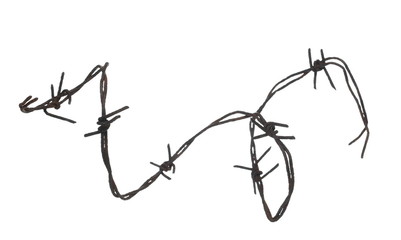 Old rusty security barbed wire fence isolated on white background and texture with clipping path