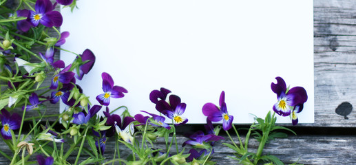 Fototapeta na wymiar Frame with pansy flowers. Flowers composition. Mock up with plants. Flat lay with flowers on white table. Copyspace for text. Focus on flowers