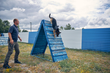 Officer training German Shepherd dog outdoors on playground