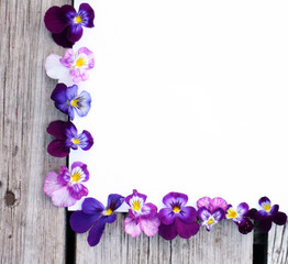 Frame with pansy flowers. Flowers composition. Mock up with plants. Flat lay with flowers on white table. Copyspace for text. Focus on flowers
