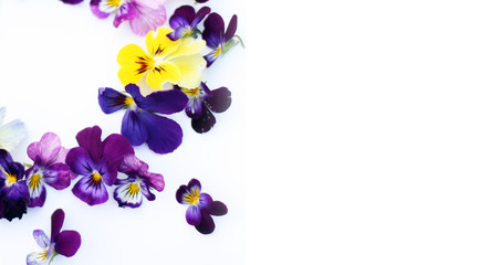 Round Frame with flowers and leaves. Top view background with pansy flowers. Flowers composition. Mock up with plants. Flat lay with flowers on white table. Banner size. Copyspace for text.