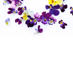 Frame with pansy flowers. Mock up of postcard with plants. Flat lay with flowers on white table. Copyspace for text. Focus on flowers