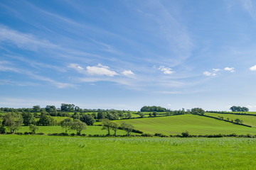 Ayrshire Fields behind the conservation village of Symington in South Ayrshire  with lush Green fields in Scotlands Summer.