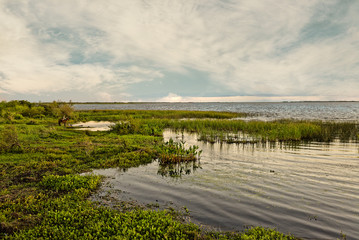 Wetlands in Nature Reserve Esteros del Ibera National Park, Colonia Carlos Pellegrini, Corrientes,...