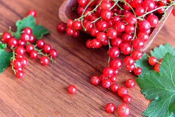 wet red currant on brown wooden table.