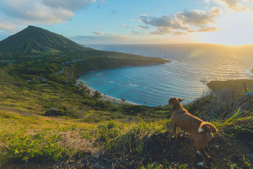 Hanauma Beach Park, Oahu