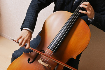 チェロを奏でる © ＊Macaron Photo Lab＊