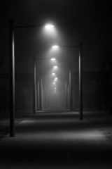 Neblina