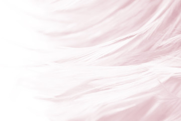 Beautiful violet - mauve mist colors tone feather texture background, pastel trends color