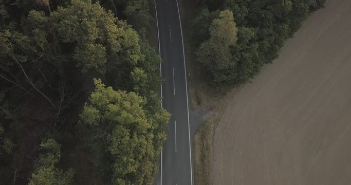 Der sich schl&auml;ngelnde Asphalt in Mitten des Waldes.