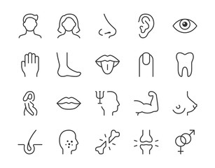 Human body parts line icon. Minimal vector illustration with simple thin outline icons as arm, mouth, hand, human, leg, acne, nose, pregnant, eye, and other anatomy. Editable Stroke
