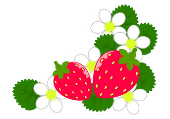 イチゴの花のイラスト素材／Strawberry and strawberry flower material