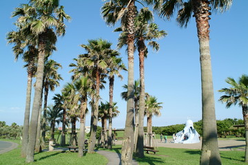 辻堂海浜公園（神奈川県藤沢市）