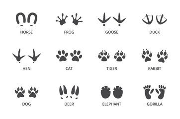 Animal track footprint set isolated on white background