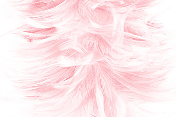 Beautiful light pink feather pattern texture background