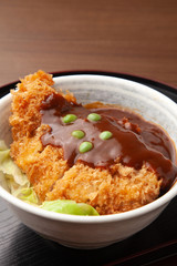 デミカツ丼