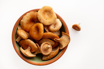 Raw mushroom in plate, cantharellus cibarius, isolated on white background. Top view, space for text right.