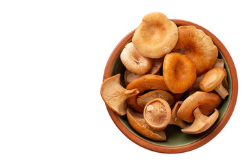 Raw mushroom in plate, cantharellus cibarius, isolated on white background. Top view, space for text left