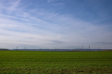 Fototapeta na wymiar Agricultural field with electric towers, pylons in the background, nice sunny summer day, lots of green