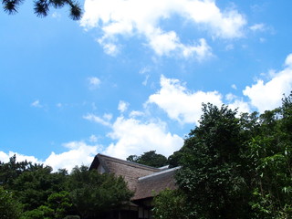 traditional structure in japan