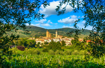 Fototapeta na wymiar Vinci, Leonardo birthplace, village, vineyard and olive trees. Florence, Tuscany Italy