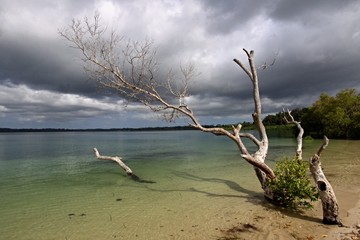 The coast in Kingoji bay, near Mkoani city. Indian ocean. Pemba Island. Tanzania. Africa.