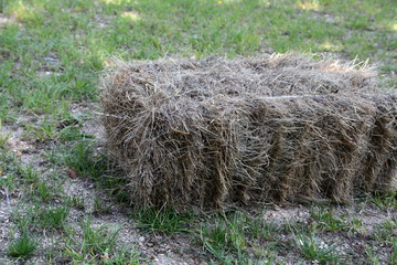 Square hay bale on a meadow