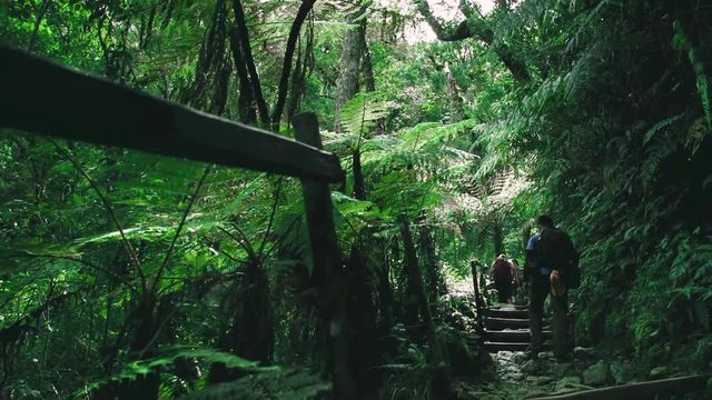 Climbing steps through jungle to Semuc Champey, slow motion
