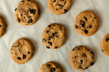 Top view of delicious cookies with chocolate pieces on the baking paper