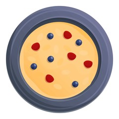 Home cheesecake icon. Cartoon of home cheesecake vector icon for web design isolated on white background