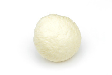 embryo bud of a coconut tree isolated on white background.