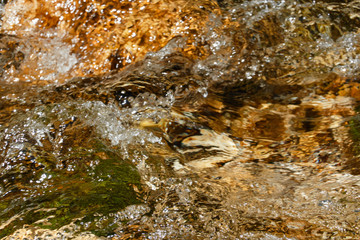 the source of the Borosa river. Sierra de Cazorla, Segura and Las Villas Natural Park. Jaen. Andalusia. Spain