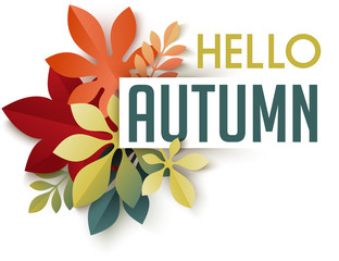 Autumn themed header. Composition of colorful fall leaves and branches. Design template for seasonal sale poster, banner, promotion announcement. Geometric flat style vector illustration