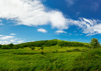 Fototapeta na wymiar Green hills with trees and blue sky with clouds