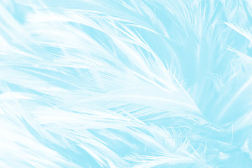 blue turquoise vintage color trends feather texture background