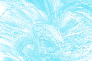 Beautiful  blue turquoise vintage color trends feather pattern texture pastel background