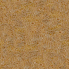 yellow melon texture