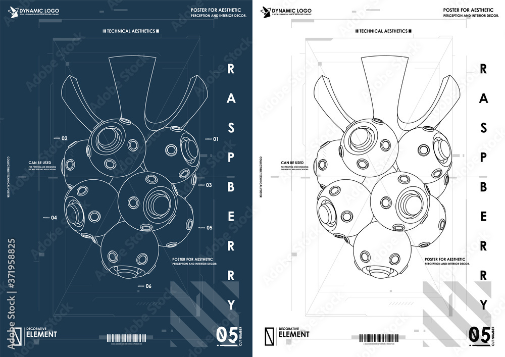 Poster raspberry in a technical style. design and development, testing, seo, social marketing, web technolo