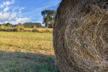 A detail of  haystack closeup in a farm field