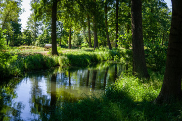 Fototapeta na wymiar Kanal im Spreewald im Sommer