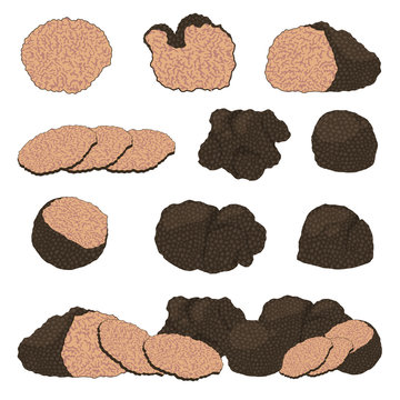 Cartoon Different Black Truffle Icon Set. Vector © bigmouse108