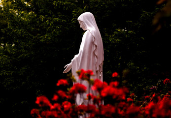 Religion pray faith.Virgine Mary statue,background red flowers.